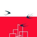 mirad las aves del cielo