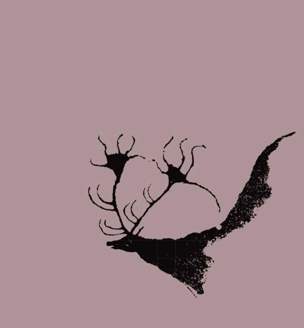 Juan F. Rivero, reseña Raíz Dulce